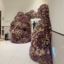 콩코드 피트니스클럽 | [수원 스타필드] '콩코드 피트니스 클럽' 방문 후기(주말 자유 수영 일일권)