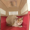 남천동로 이미지