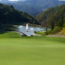 일산골프 MGA 이미지