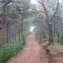 산속의 아침 이미지