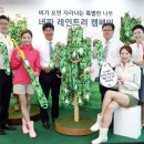 네파종로 이미지