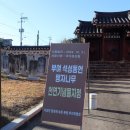 석성동헌 탱자나무 티스토리