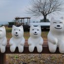 팔봉초등학교 이미지