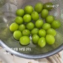 본가통채칼국수 | 진짜 최종_찐막_최최최종