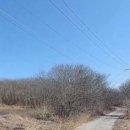 야산목장 이미지