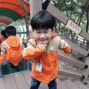 비슬향 유치원 이미지