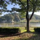 금산인삼골오토캠핑장 이미지