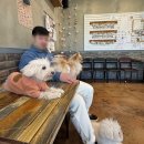 모찌네호캉스 이미지