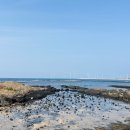 역사코스 이미지