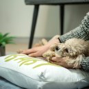 그린스테이 이미지