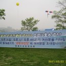 강남-125 이미지