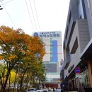 카톨릭의대성모병원 이미지