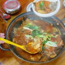 십이령영농조합법인 스포츠경향