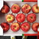 양촌농원 1농장 이미지