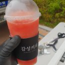 그린셀프크리닝 이미지