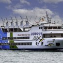 고래의꿈 이미지