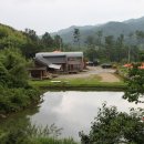 남경민박 이미지