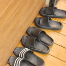 스테이더딜라잇프라이빗 이미지