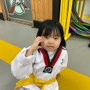 푸르른 태권도장 네이버블로그