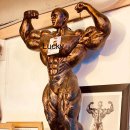 럭키헬스 이미지