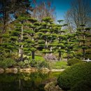 자연의 향기 이미지