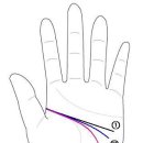 손금 두뇌선 이미지