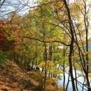 입곡군립공원(산림욕장) 이미지