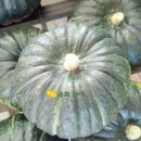 윤희농장 이미지