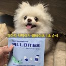 바이츠 | 강아지 약먹이기 필바이츠 후기｜퐁퐁이 하루 3번 투약 루틴
