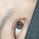 그로우바이브 | 홍대 속눈썹펌 잘하는 곳 추천 | 연남동 오프바이브 홍대점 후기