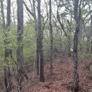 당산2교 이미지