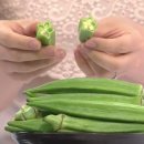 아삽야콘농원 이미지