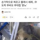 푸바오 손가락 집어 넣은 사람 수의사 맞나봄 해명 했다는데 이미지