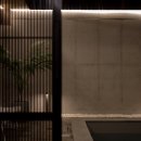 스테이 선명 이미지