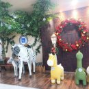 조연이비인후과병원 이미지