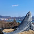 울산 장생포고래박물관 이미지