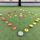 개와 집사의 시간 이미지