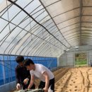 다온농장(2) 이미지