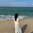 하랑중학교 | 강릉 동해 그리고 다시 강릉 ! 🐚