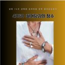 4060 끌어당김의 정수 빅맘님 전자책 후기