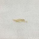 웰 동물병원 이미지