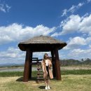 정원 | 광주 근교 드라이브 추천 순천만 국가 정원 후기 맛집 정보