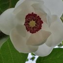 강원농장 이미지