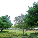 호수공원수변공원 이미지