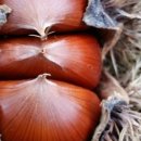 대경농장2 이미지