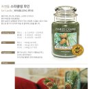 스파클링(SPARKLING) 이미지