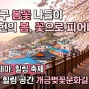 클래식마중 힐링콘서트 다온공연 | 부산가볼만한곳 부산진구 봄꽃 나들이 부산진구 맛집 4월 축제정보 공유