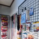 유한동물병원 이미지