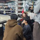 브로스 복싱 이미지