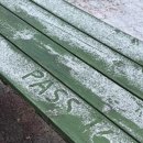 꿈꾸는 나비 이미지